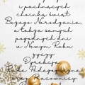 Golden Elegant Christmas Instagram Story