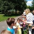 IMG_20240603_133414570