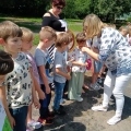 IMG_20240603_133646728