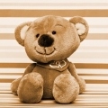 teddy-bear-3652051_640